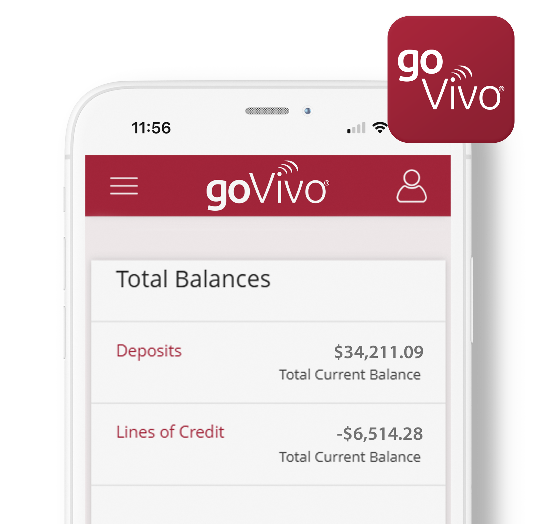 govivo-phone-mockup no banner govivo app